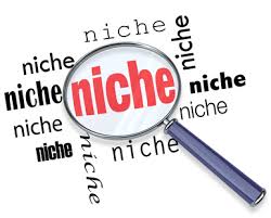 what is niche marketing