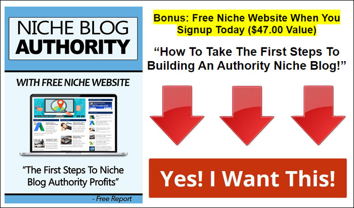 niche blog authority