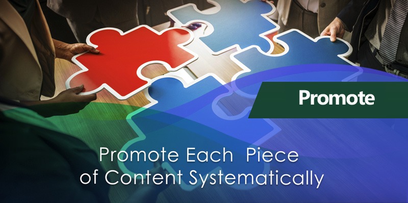 Promote Each Piece of Niche Content Systematically