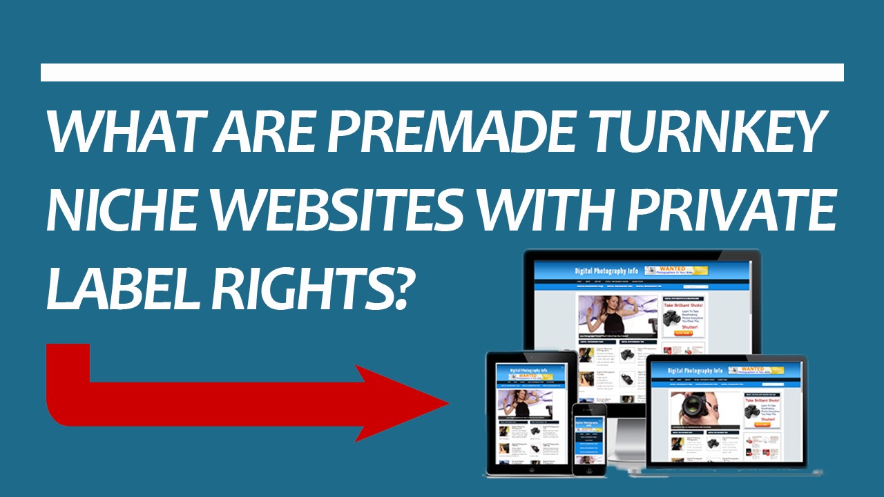 premade turnkey affiliate niche website