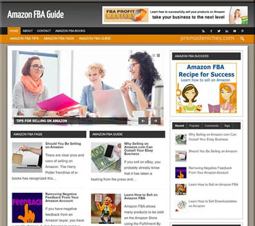 Amazon FBA Guide Pre-made Niche Website/Blog