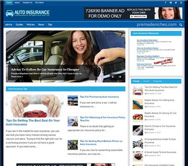 Auto Insurance Tips Pre-made Niche Website/Blog