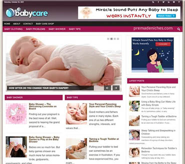 Baby Care Guide Pre-made Niche Website/Blog