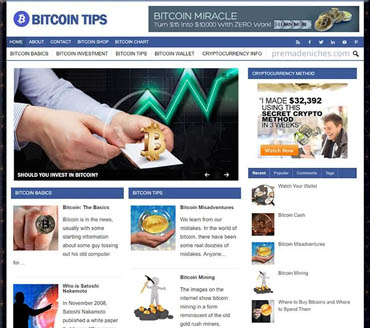 Bitcoin Tips for Beginners Pre-made Niche Website/Blog