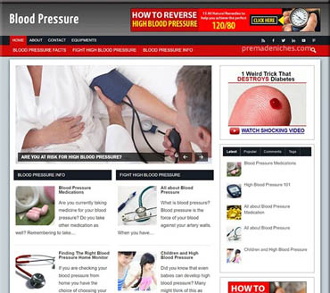 Blood Pressure Help Pre-made Niche Website/Blog