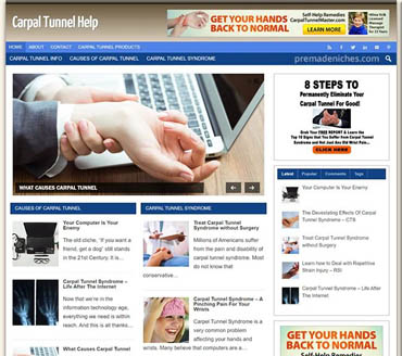 Carpal Tunnel Help Pre-made Niche Website/Blog