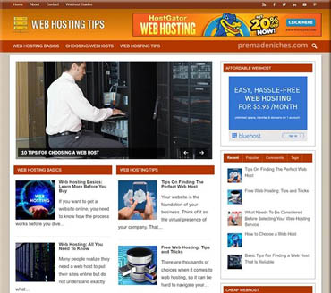 Choosing The Best Webhosts Pre-made Niche Website/Blog