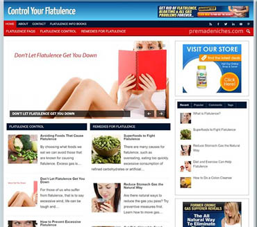 Control Your Flatulence Pre-made Niche Website/Blog