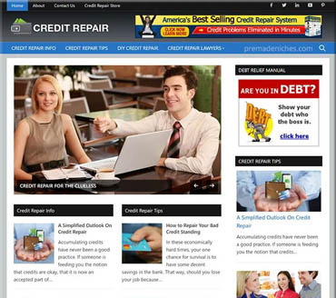Credit Repair System Pre-made Niche Website/Blog