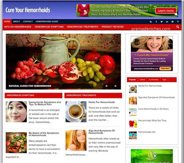 Cure Your Hemorrhoids Pre-made Niche Website/Blog