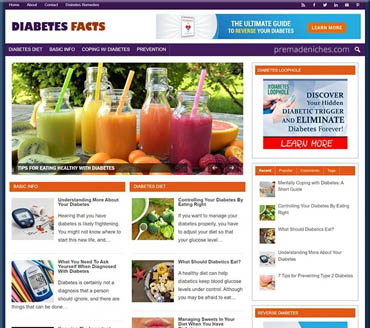 Diabetes Facts Pre-made Niche Website/Blog