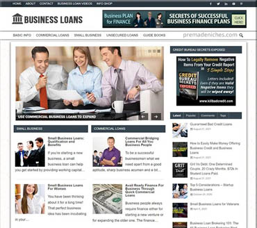 Easy Business Loans Pre-made Niche Website/Blog