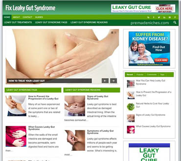 Fix Leaky Gut Syndrome Pre-made Niche Website/Blog
