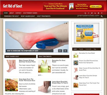 Get Rid of Gout Pre-made Niche Website/Blog