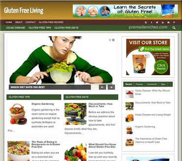 Gluten Free Living Pre-made Niche Website/Blog