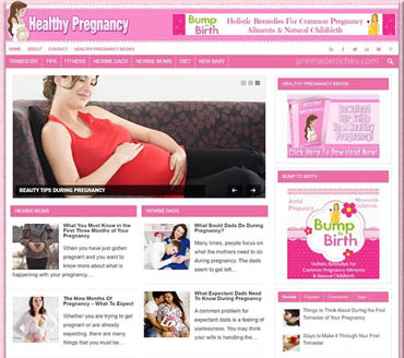Healthy Pregnancy Guide Pre-made Niche Website/Blog