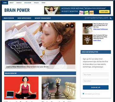 Improve Brain Power Pre-made Niche Website/Blog