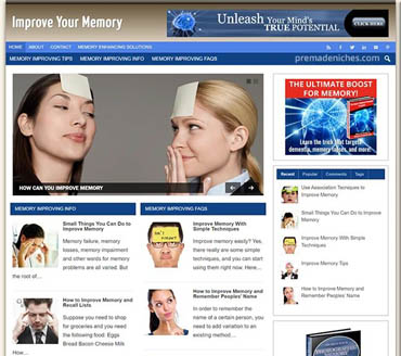 Improve Your Memory Pre-made Niche Website/Blog