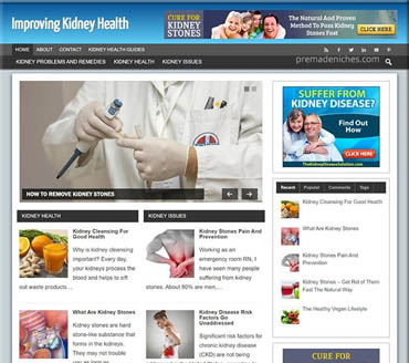 Improving Kidney Health Pre-made Niche Website/Blog