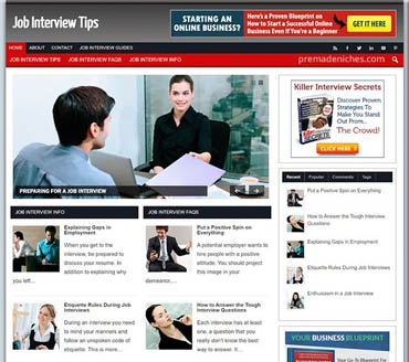 Job Interview Tips Pre-made Niche Website/Blog