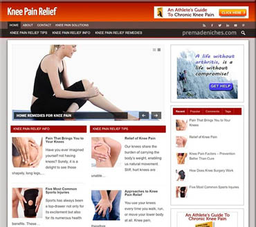 Knee Pain Relief Pre-made Niche Website/Blog