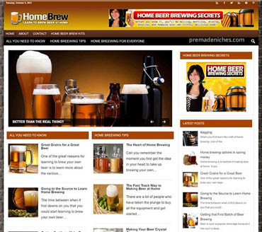 Learn to Brew Beer at Home Pre-made Niche Website/Blog