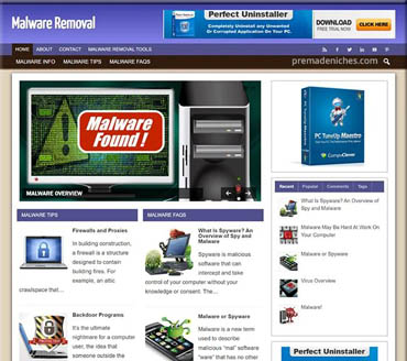 Malware Removal Pre-made Niche Website/Blog