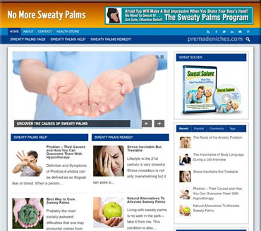 No More Sweaty Palms Pre-made Niche Website/Blog