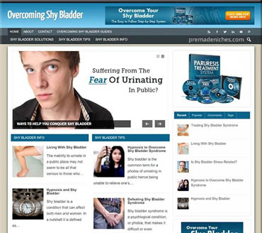 Overcoming Shy Bladder Syndrome Pre-made Niche Website/Blog