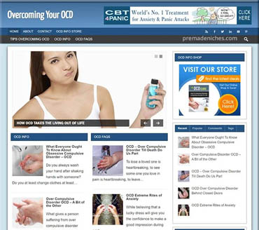Overcoming Your OCD Pre-made Niche Website/Blog