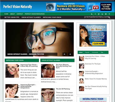 Perfect Vision Naturally Pre-made Niche Website/Blog
