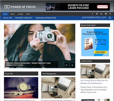 Power of Focus Pre-made Niche Website/Blog
