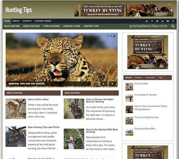 Practical Hunting Tips Pre-made Niche Website/Blog