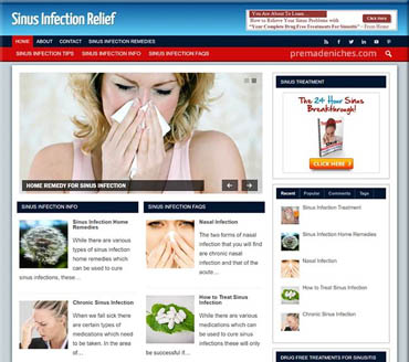 Sinus Infection Relief Pre-made Niche Website/Blog