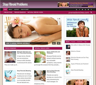 Stop Fibroids Problems Pre-made Niche Website/Blog