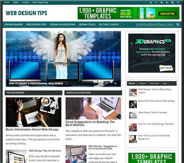 Web Design Basics Pre-made Niche Website/Blog