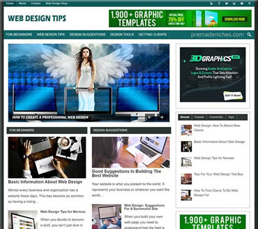 Web Design Basics Pre-made Niche Website/Blog