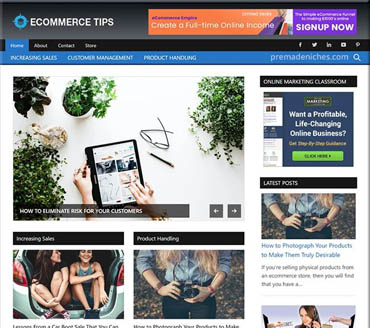 eCommerce Tips and Secrets Pre-made Niche Website/Blog