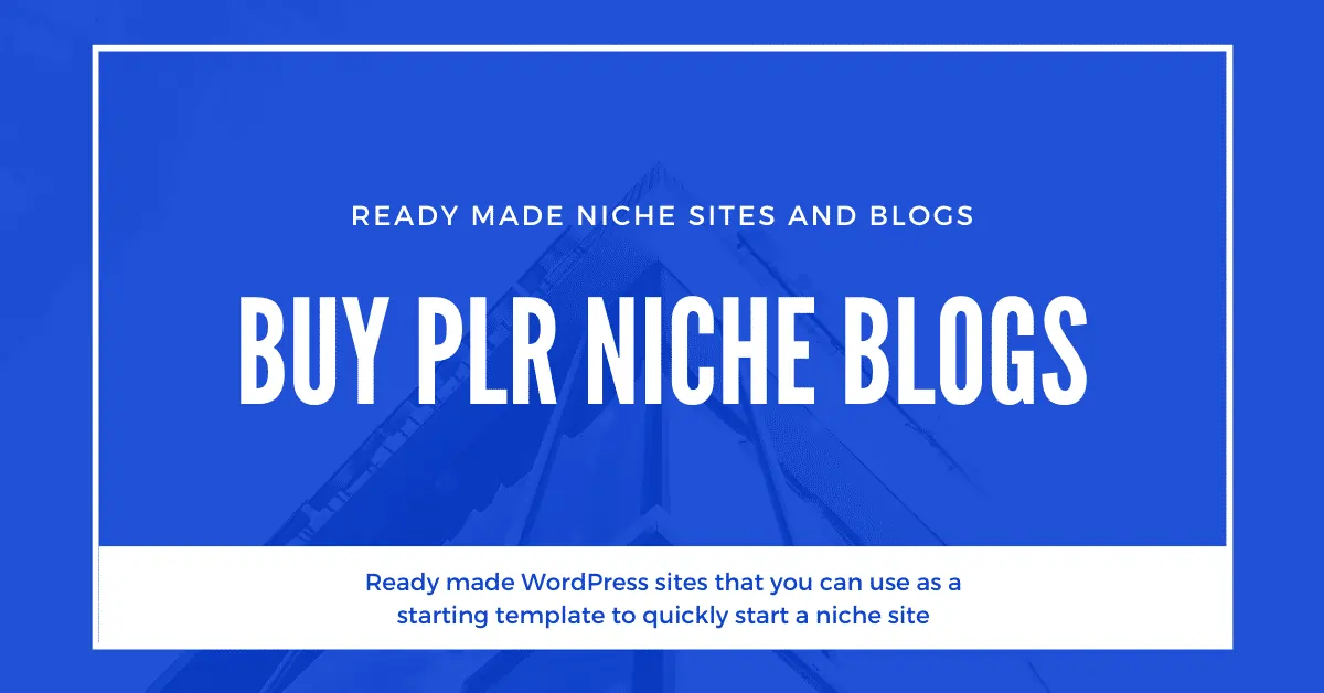 buy plr niche blogs