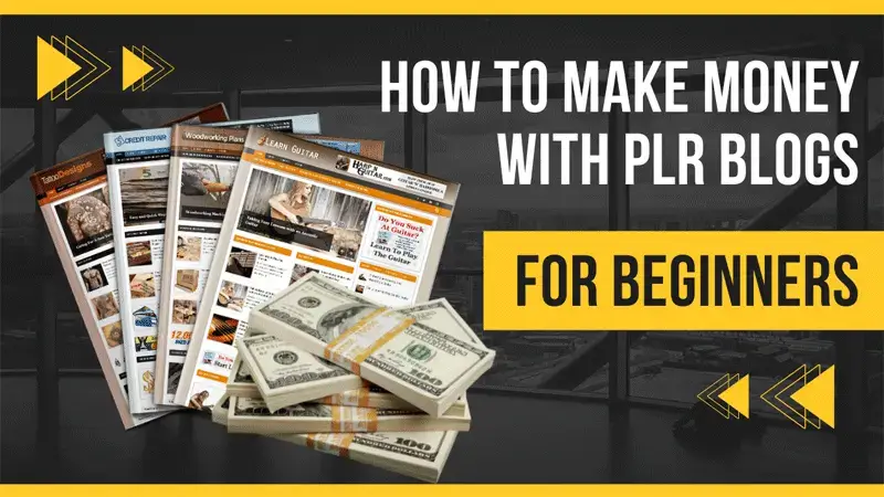 How To Make Money With PLR Blogs For Beginners