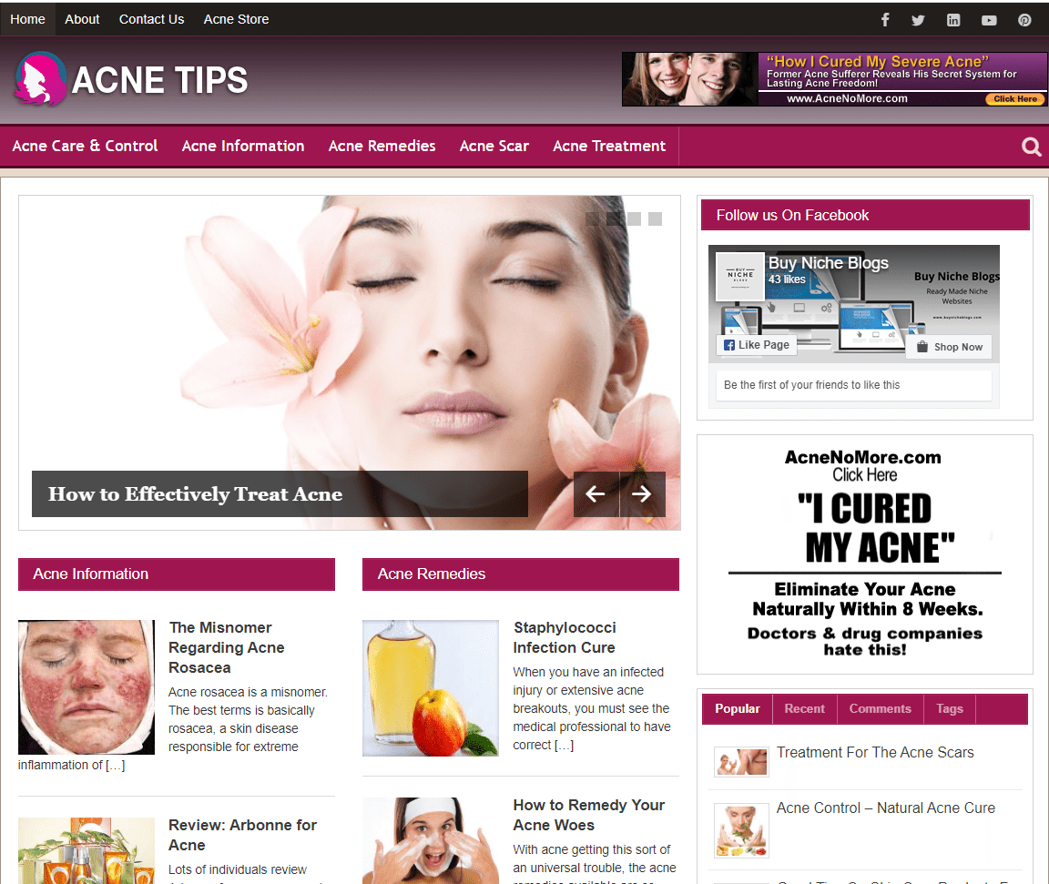 Acne Tips Pre-made Affiliate Niche Website/Blog