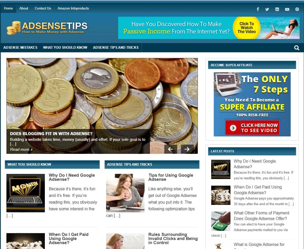 AdSense Tips Pre-made Affiliate Niche Website/Blog