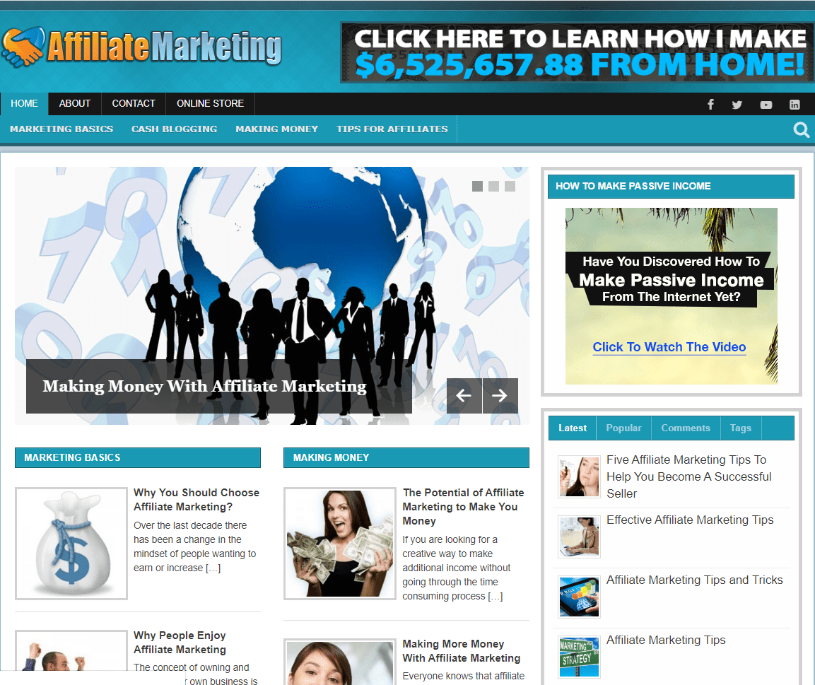 Affiliate Marketing Pre-made Affiliate Niche Website/Blog