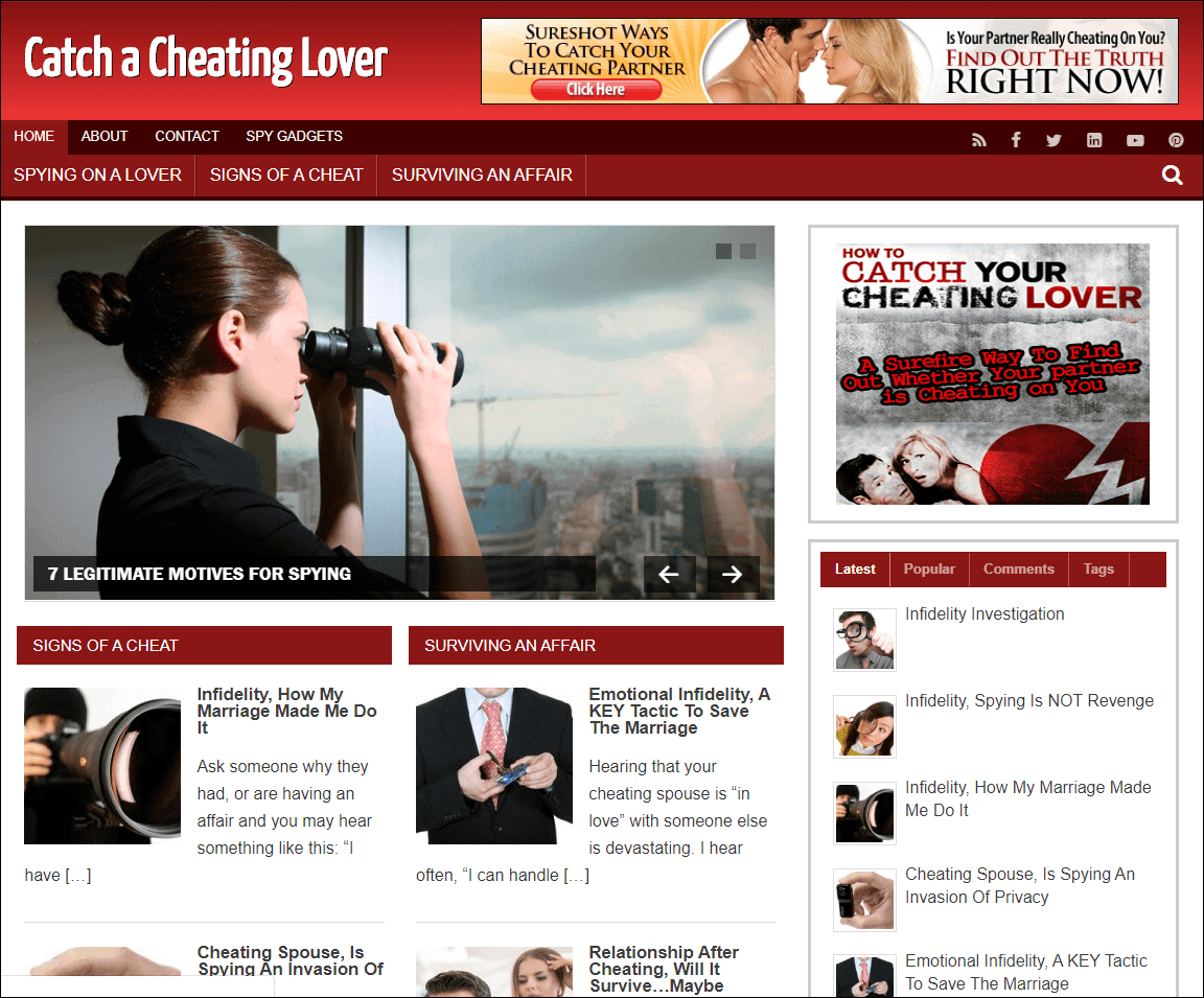 Catch A Cheating Lover Pre-made Affiliate Niche Website/Blog