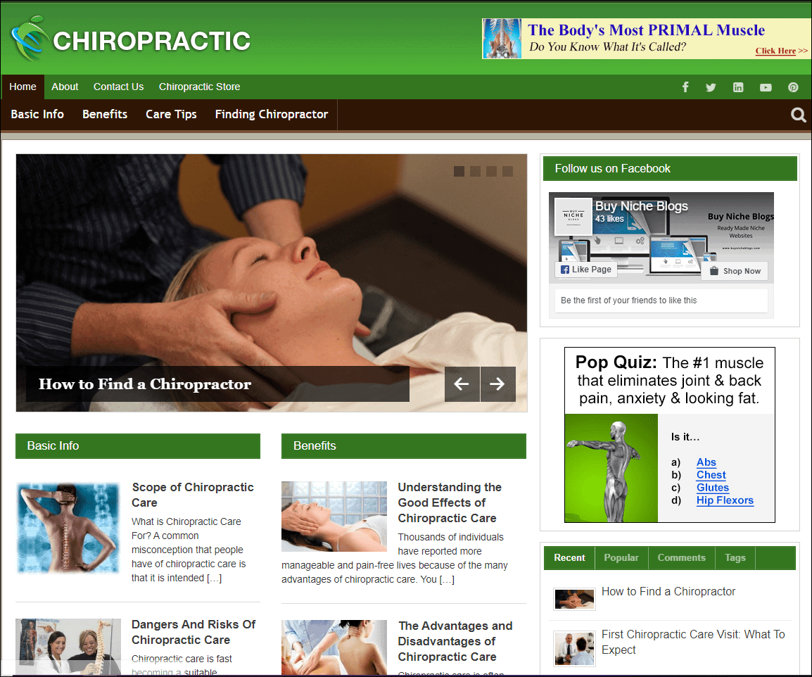 Chiropractic Pre-made Affiliate Niche Website/Blog