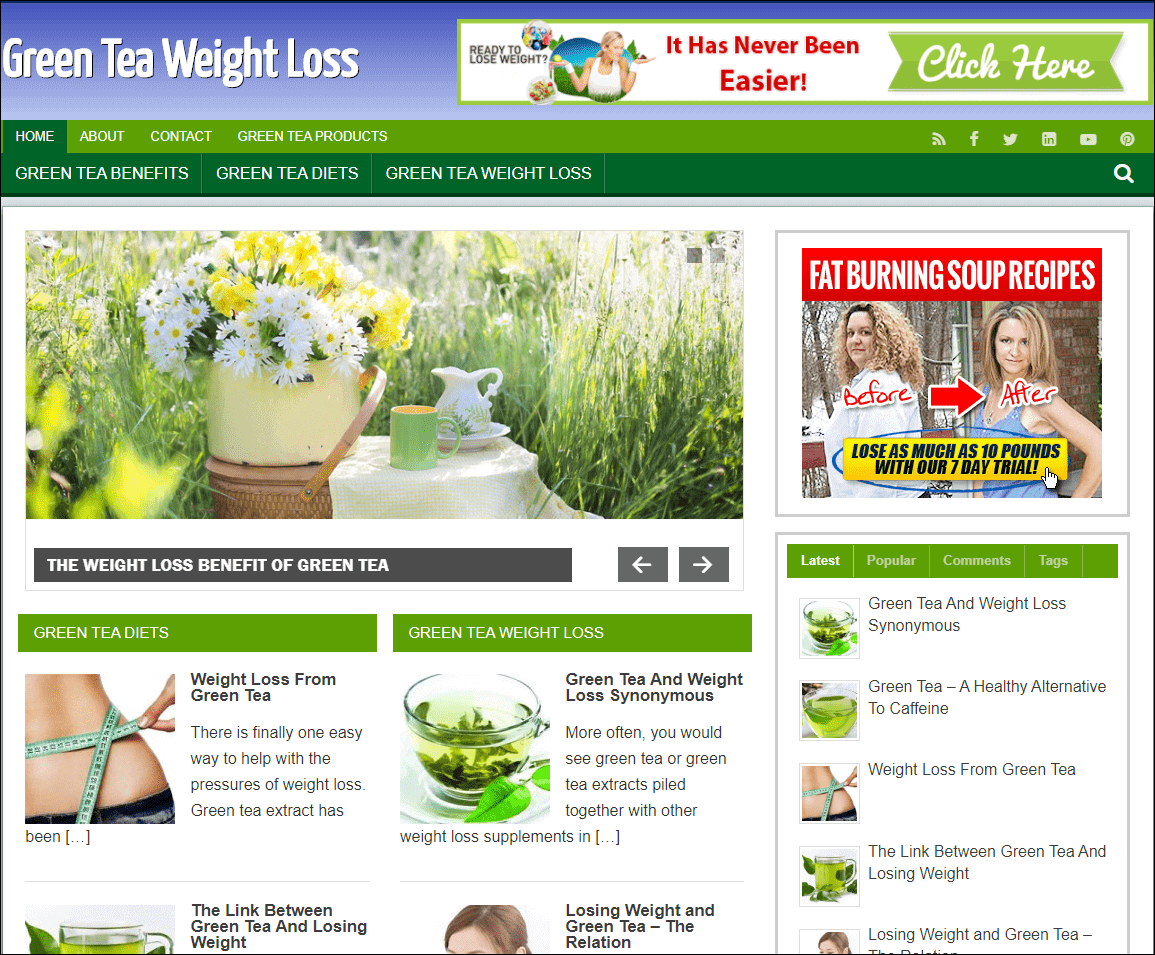 Green Tea Weight Loss Pre-made Affiliate Niche Website/Blog