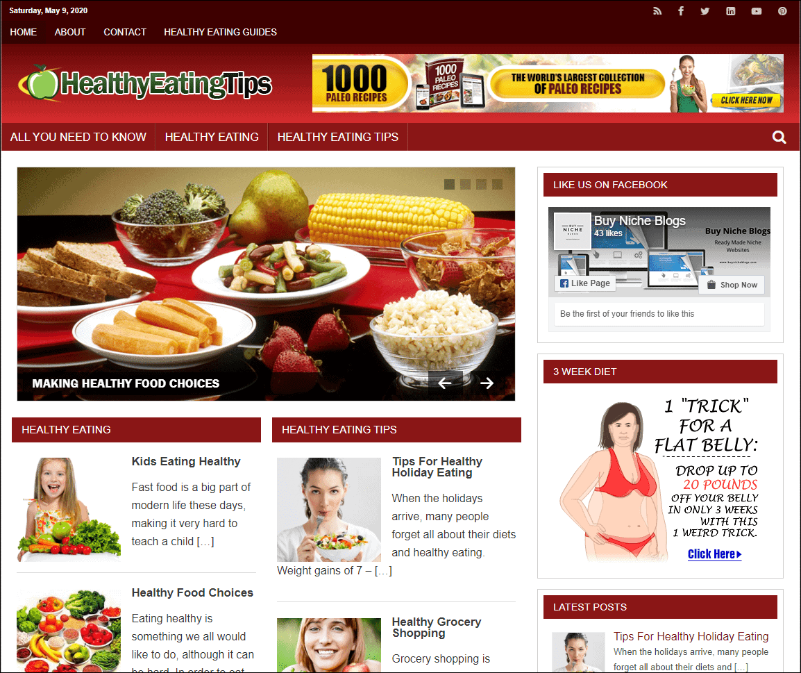 Healthy Eating Tips Pre-made Affiliate Niche Website/Blog