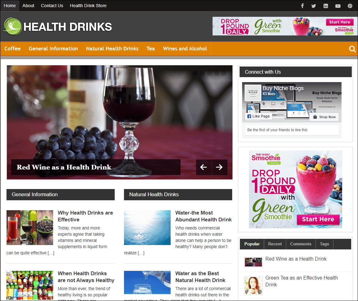 Healthy Drinks Pre-made Affiliate Niche Website/Blog