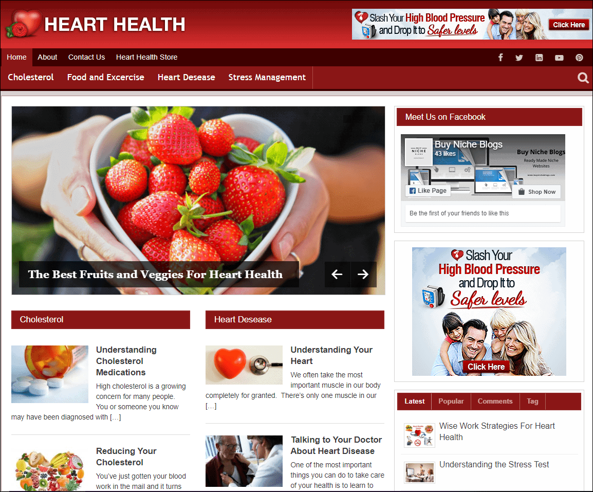 Heart Health Pre-made Affiliate Niche Website/Blog