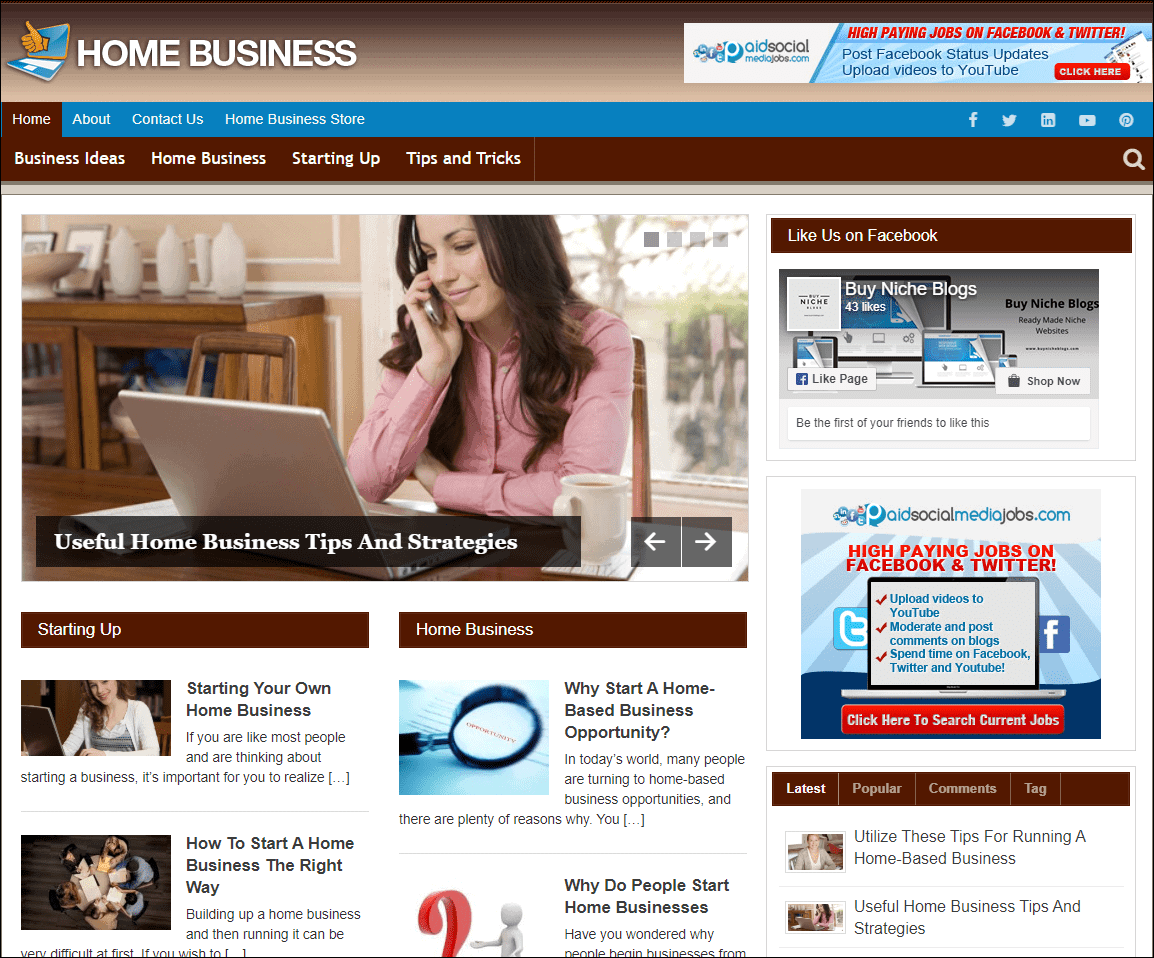 Home Business Pre-made Affiliate Niche Website/Blog